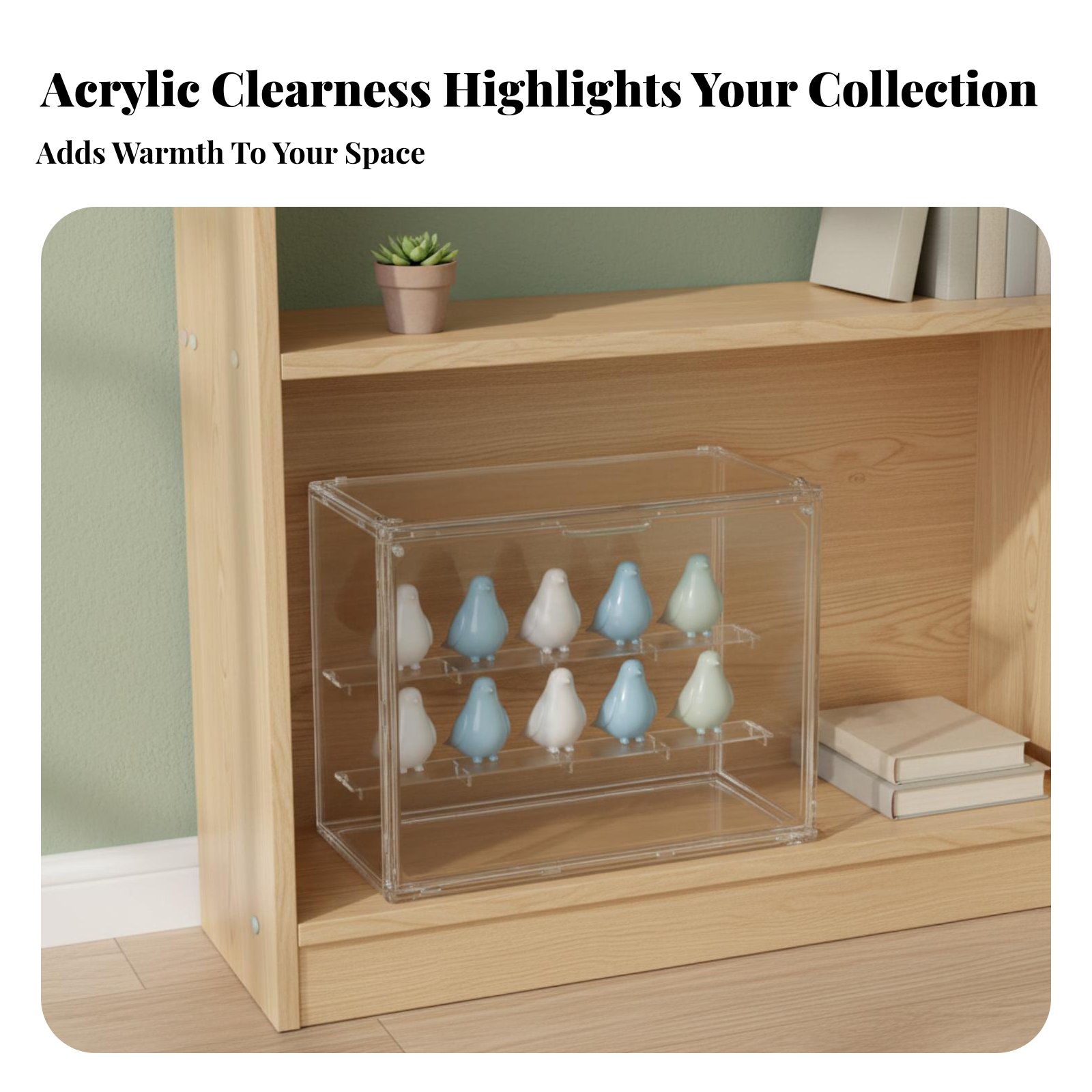Clear Acrylic Display Case Hig - مراجعة Display Case Acrylic وسعره