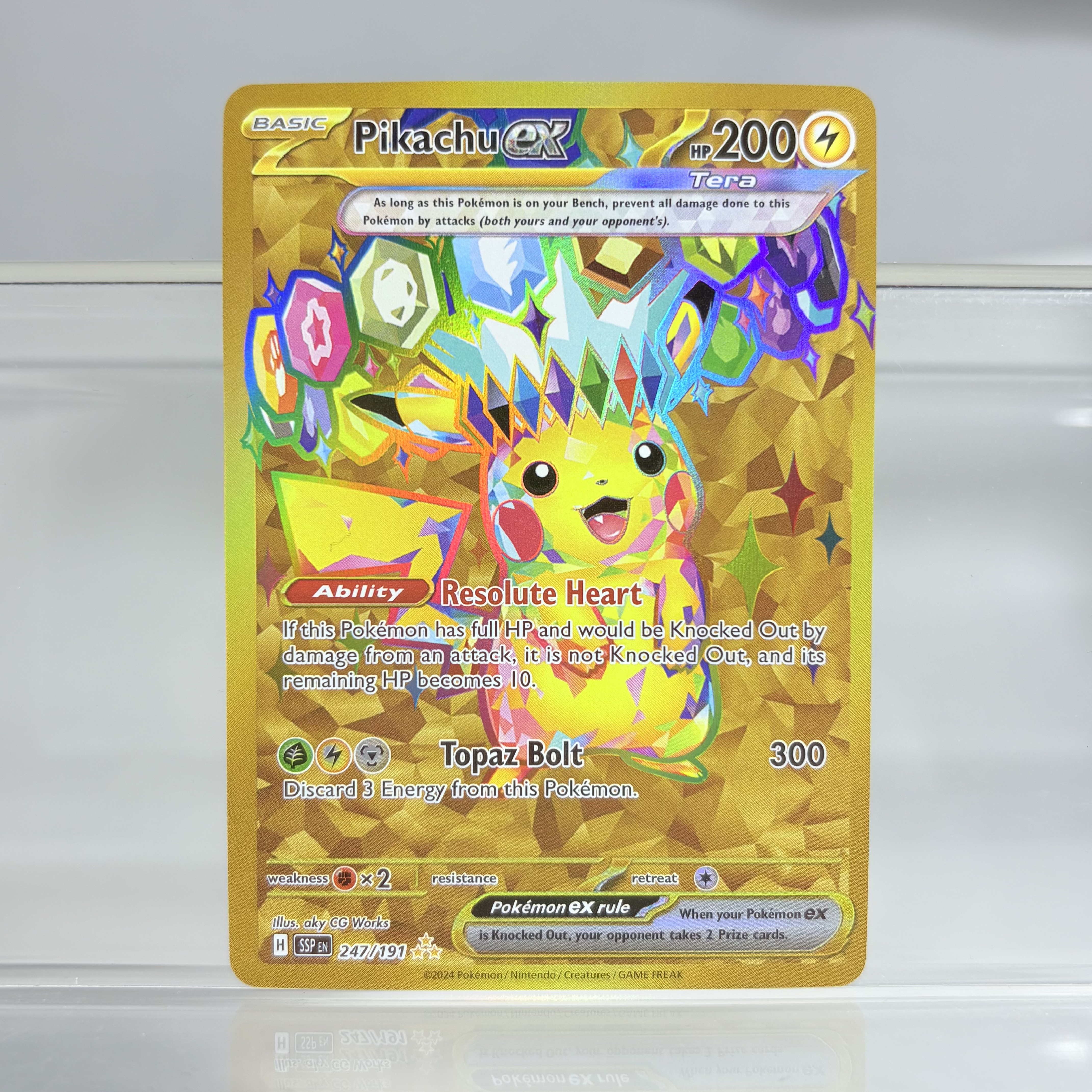 Holographic Game Trading Colle - مراجعة Pokemon Binder Card وسعره