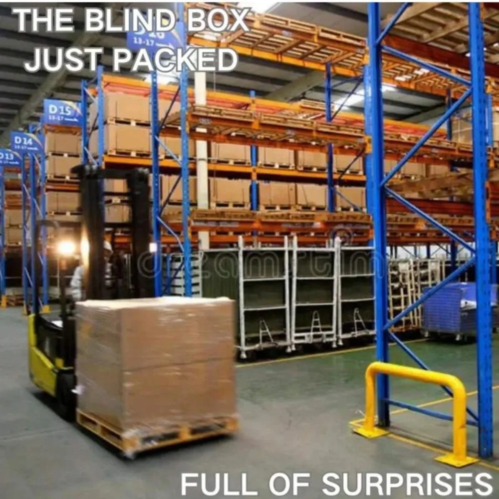 Super Surprise Mystery Box Ran - مراجعة Mystery Box Blind Bag وسعره