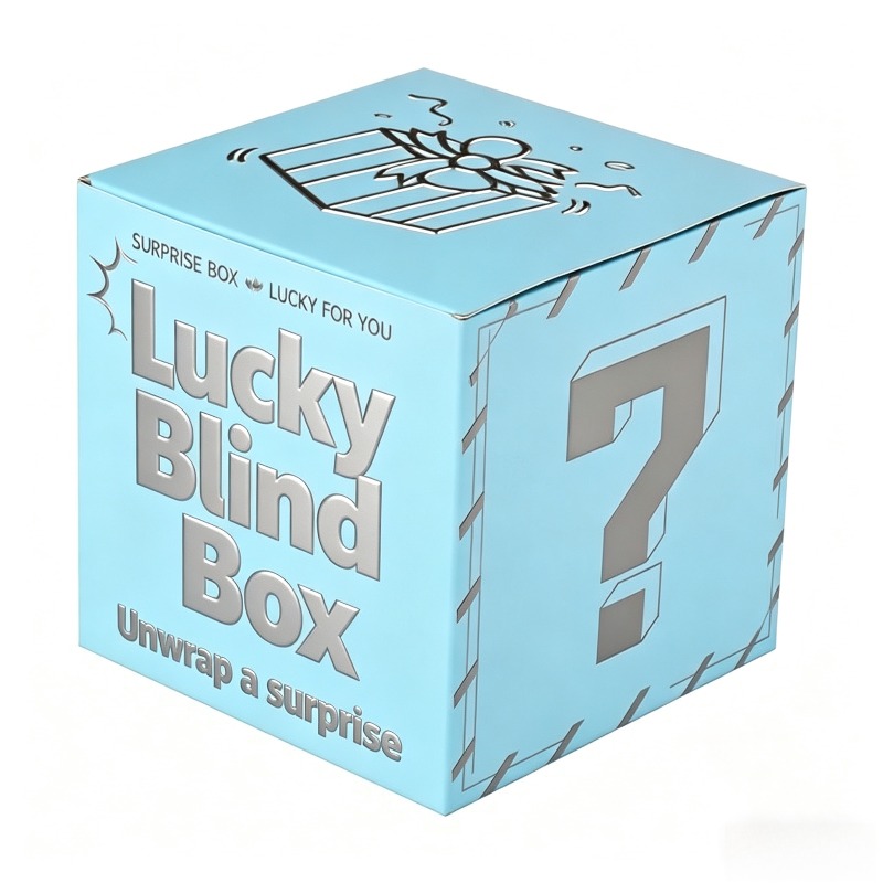 2Pcs Surprise Box-elegant Surp - مراجعة Mystery Box Blind Bag وسعره