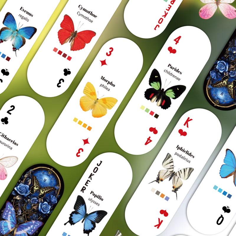 Mr.Paper Table Card Game 54/Bo - مراجعة Graded Card Display وسعره